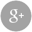 Google+